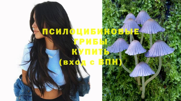 дмт Заводоуковск