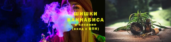 дмт Заводоуковск