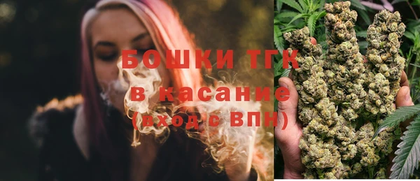 дмт Заводоуковск