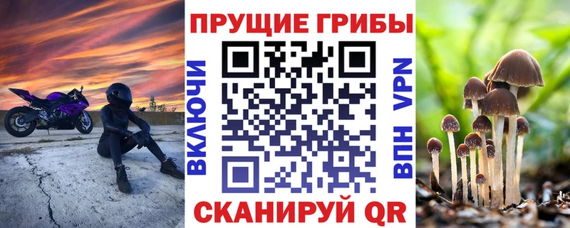 Купить где  Слюдянка  Галлюциногенные грибы мицелий 